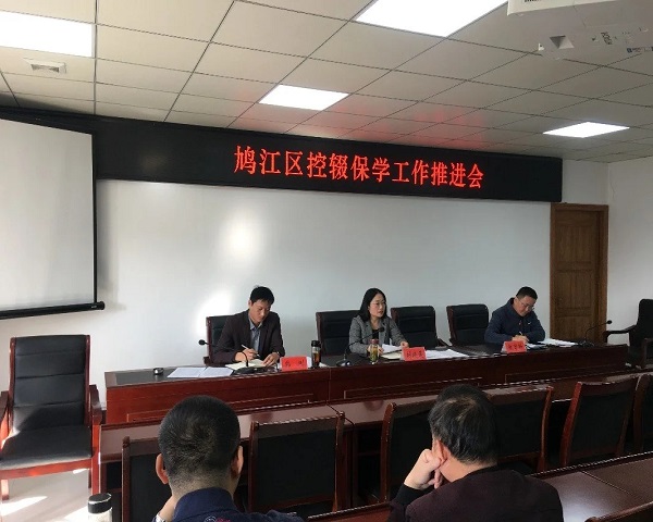 鸠江区召开全区控辍保学工作推进会