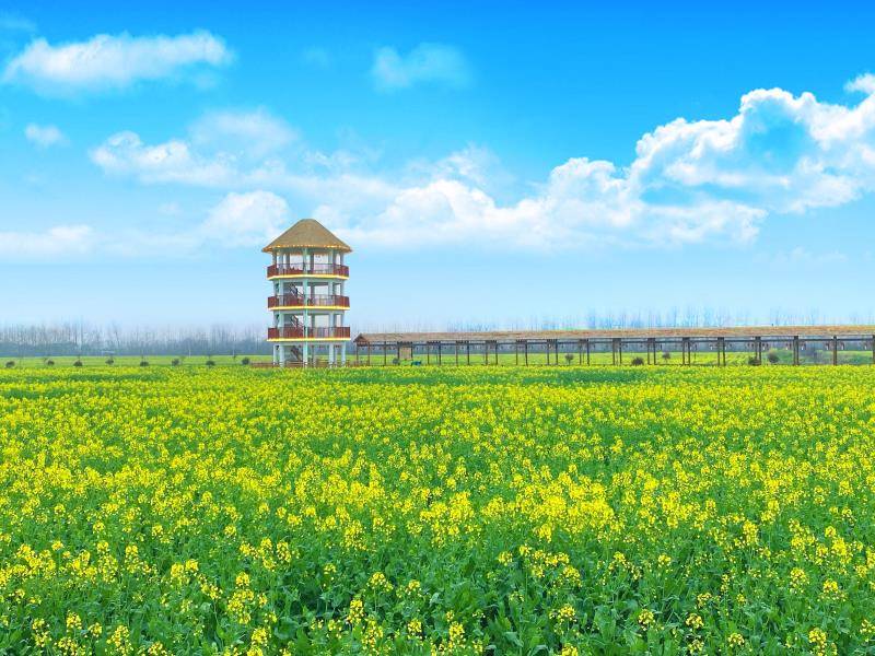 媒体看鸠江_鸠江区人民政府