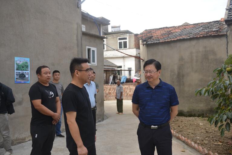 领导活动_鸠江区人民政府